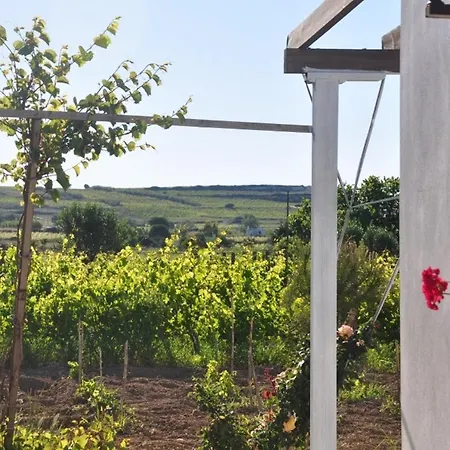 Bozcaada Ilgin Bag Evi Отель *