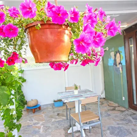 Bozcaada Ilgin Bag Evi